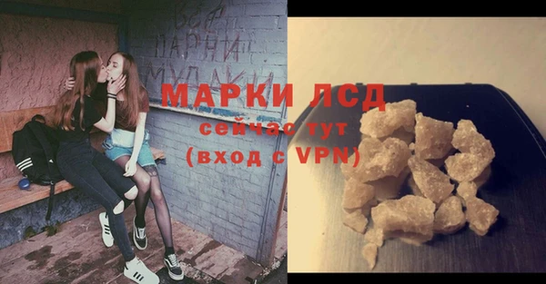 ГАЛЛЮЦИНОГЕННЫЕ ГРИБЫ Балахна