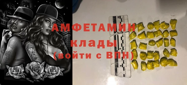 ГАЛЛЮЦИНОГЕННЫЕ ГРИБЫ Балахна