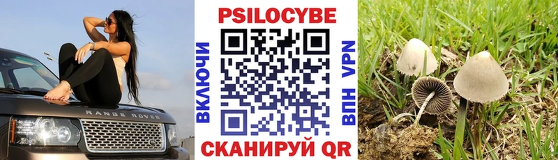 Галлюциногенные грибы Magic Shrooms  Купить закладки  Ялуторовск 